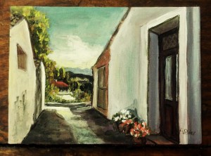 OLYMPUS DIGITAL CAMERA