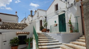 artist's retreat, house at top of the steps with brown door