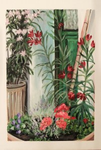 20150716_165422_LLS (2)